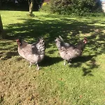 Ticketyboo 4* Pickering