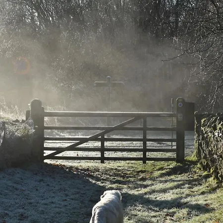 住宿加早餐酒店 Ticketyboo 皮克林