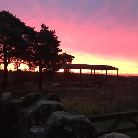 住宿加早餐酒店 Ticketyboo 皮克林