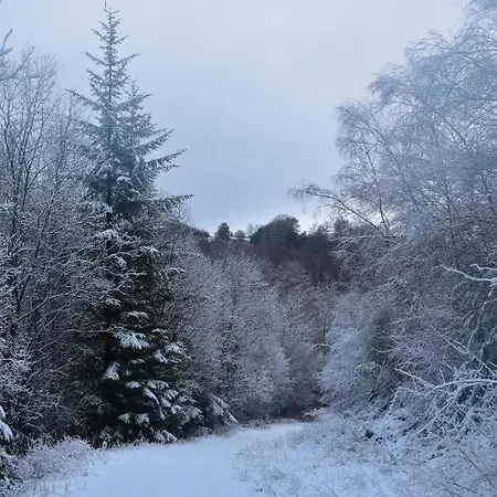 Ticketyboo 住宿加早餐酒店 皮克林
