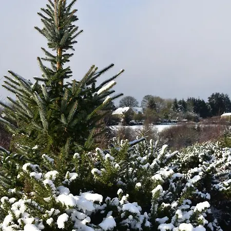 Ticketyboo Bed & Breakfast Pickering