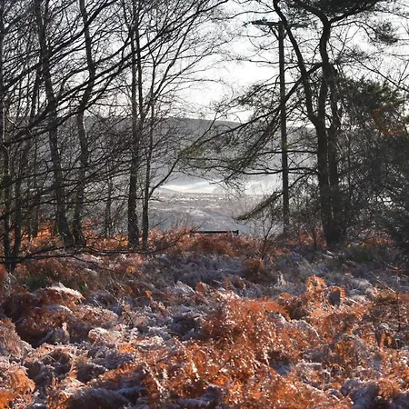 Ticketyboo 住宿加早餐酒店 皮克林