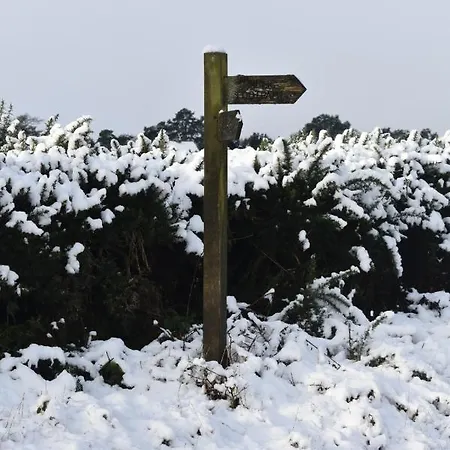 住宿加早餐酒店 Ticketyboo 皮克林