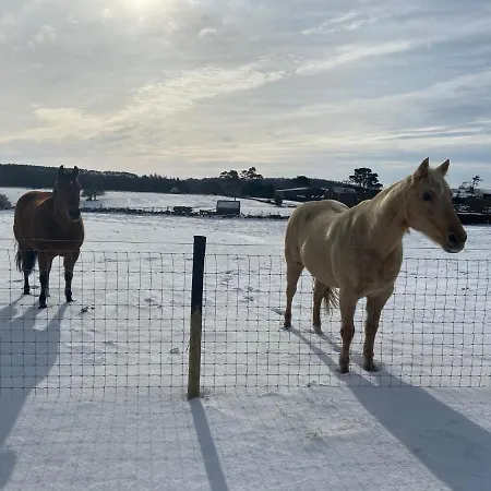 住宿加早餐酒店 Ticketyboo