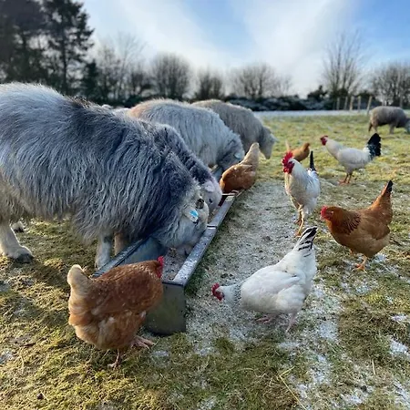 住宿加早餐酒店 Ticketyboo 4*