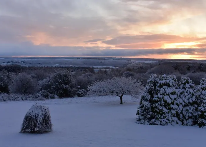 Ticketyboo Bed & Breakfast 4*