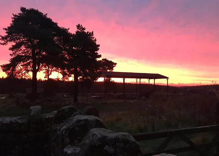 Bed & Breakfast Ticketyboo Pickering