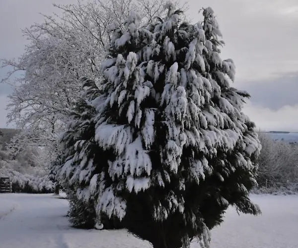 Ticketyboo 4* Pickering