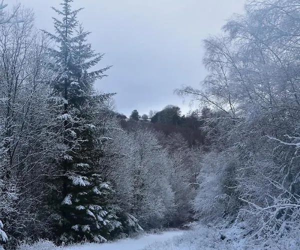 Ticketyboo Bed & Breakfast Pickering