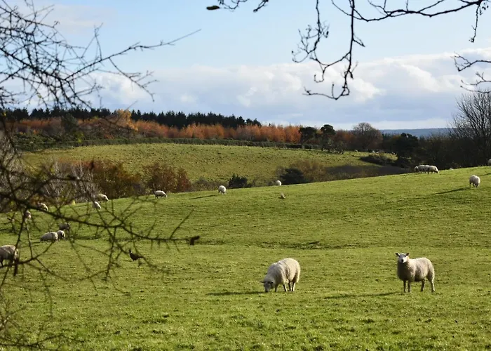 Ticketyboo 4* Pickering