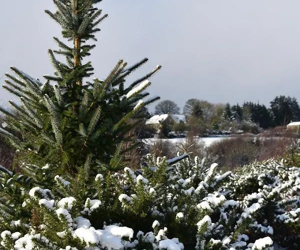 Ticketyboo Bed & Breakfast Pickering