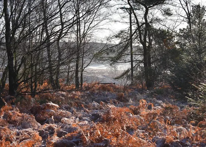 Ticketyboo Bed & Breakfast Pickering