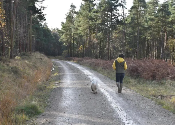 Bed & Breakfast Ticketyboo