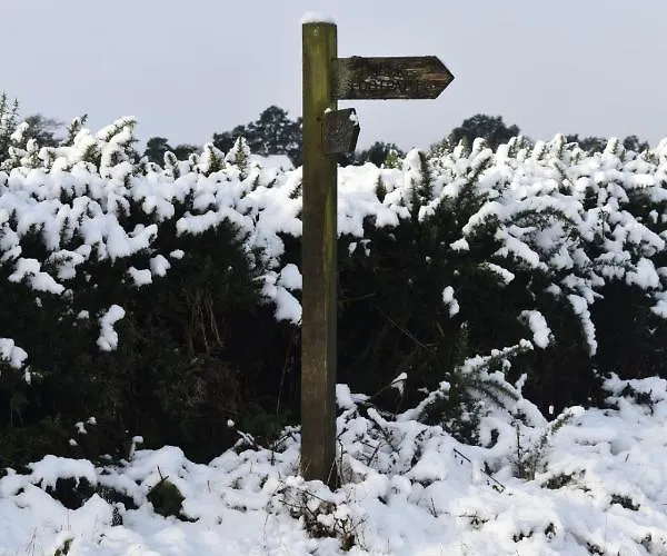 Bed & Breakfast Ticketyboo Pickering