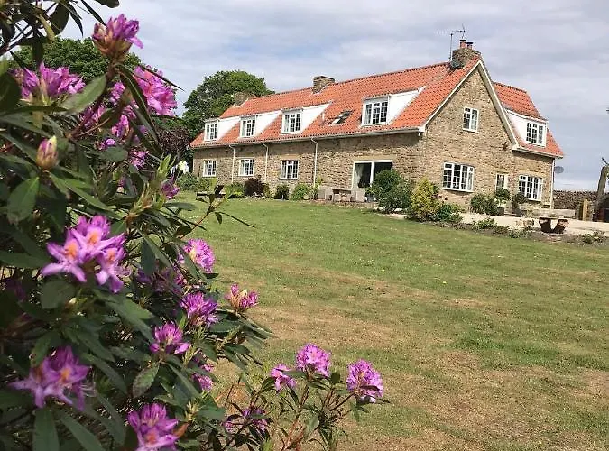 Ticketyboo Pickering