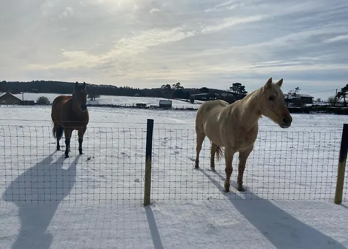 Bed & Breakfast Ticketyboo