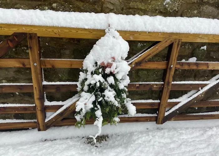 Bed & Breakfast Ticketyboo