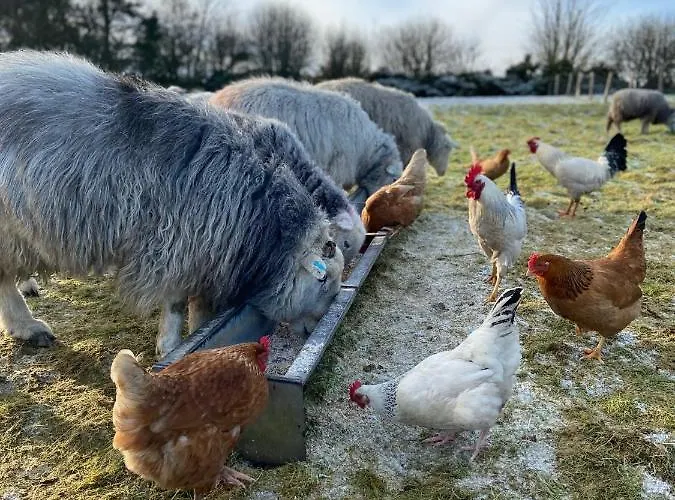 Bed & Breakfast Ticketyboo 4*