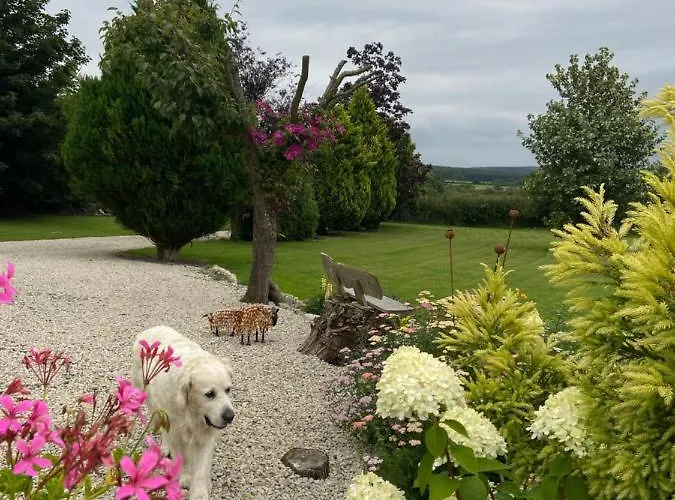 Ticketyboo Pickering