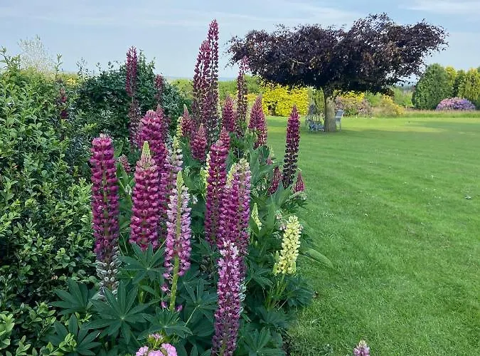 Ticketyboo Bed & Breakfast Pickering