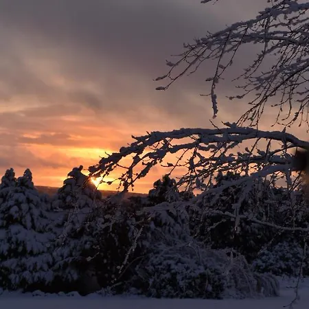 Ticketyboo 4* Pickering