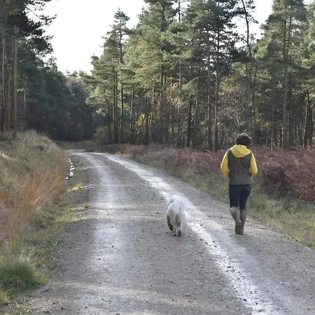 Bed & Breakfast Ticketyboo