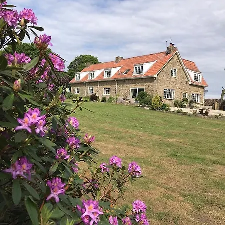 Ticketyboo Pickering