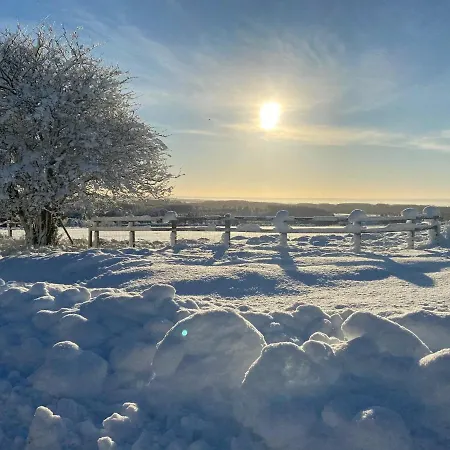 Ticketyboo Bed & Breakfast 4*