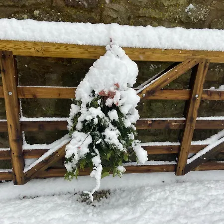 Bed & Breakfast Ticketyboo