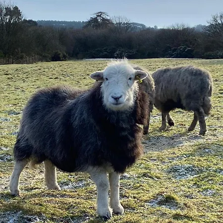 Bed & Breakfast Ticketyboo Pickering