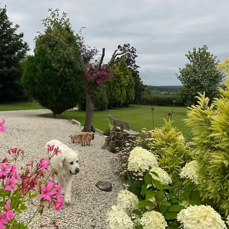 Ticketyboo Pickering