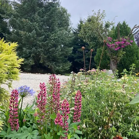 Ticketyboo Bed & Breakfast Pickering