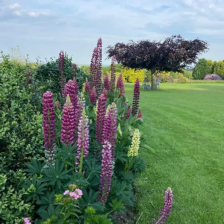 Ticketyboo Bed & Breakfast Pickering